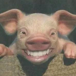 爆笑有声小说+收徒