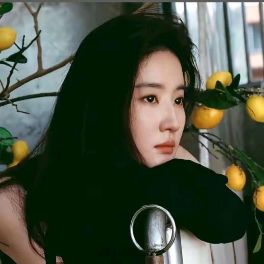 苏丹
