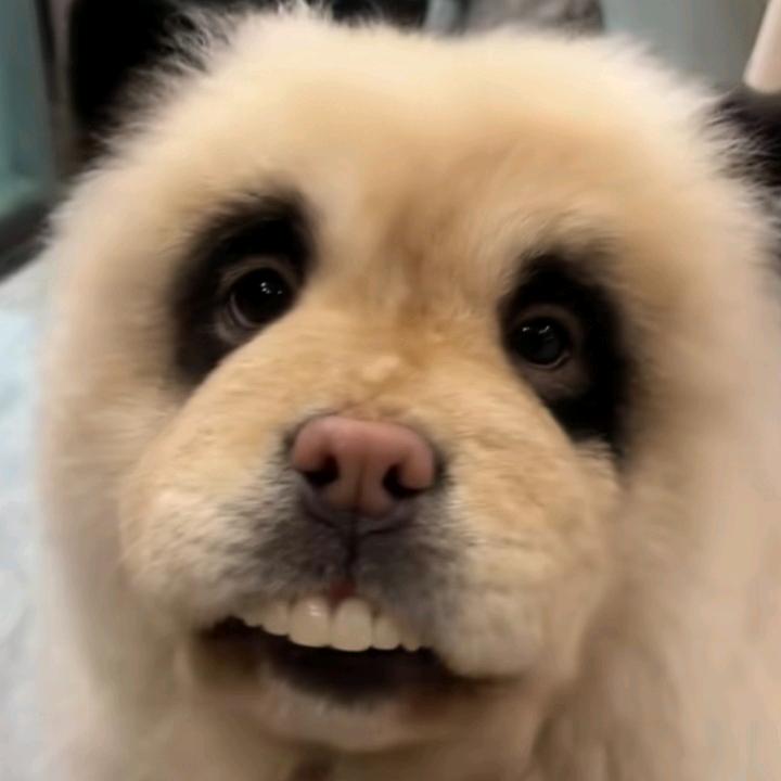 西红柿炒鸡蛋要放酱油