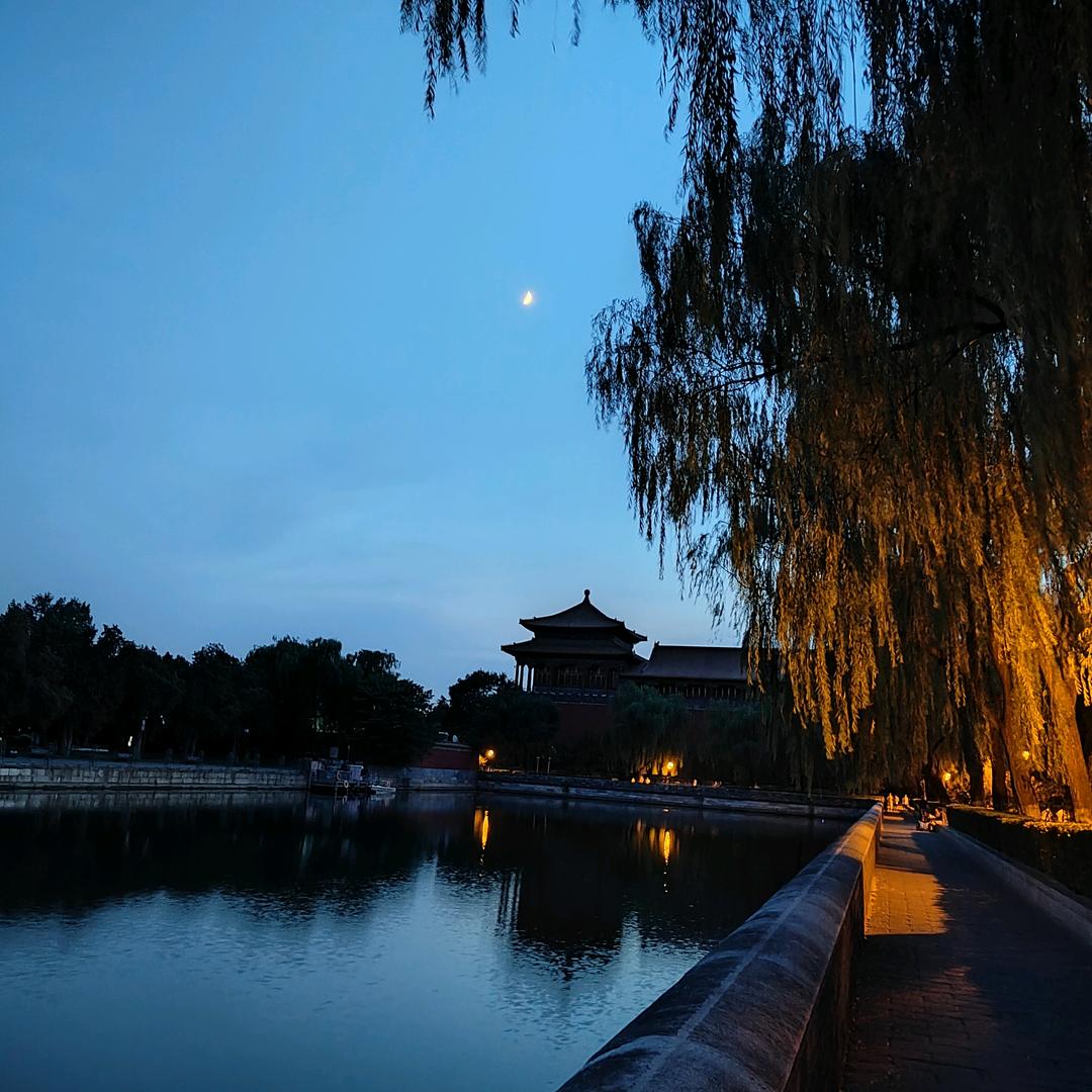 金海龙