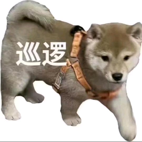 小圈圈🐕