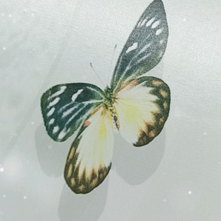 一生之乐