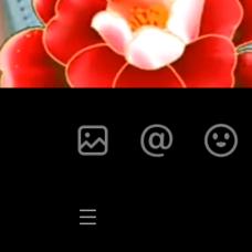 家