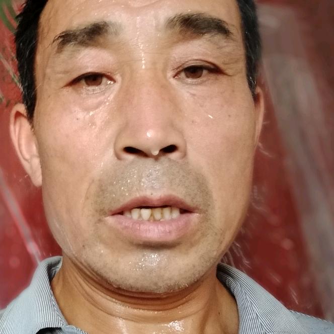 马哥哥