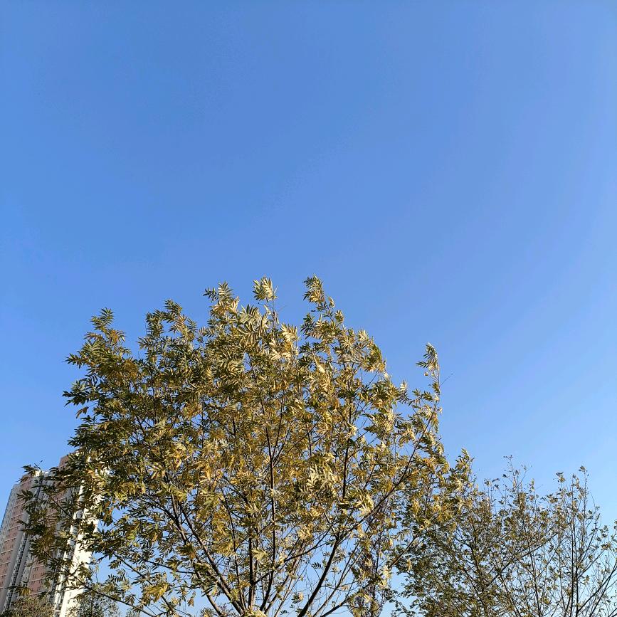 不然呢1
