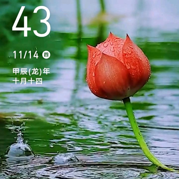 鲁承波