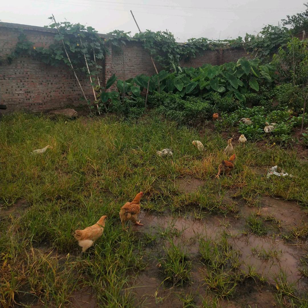 珍惜活着的每一天