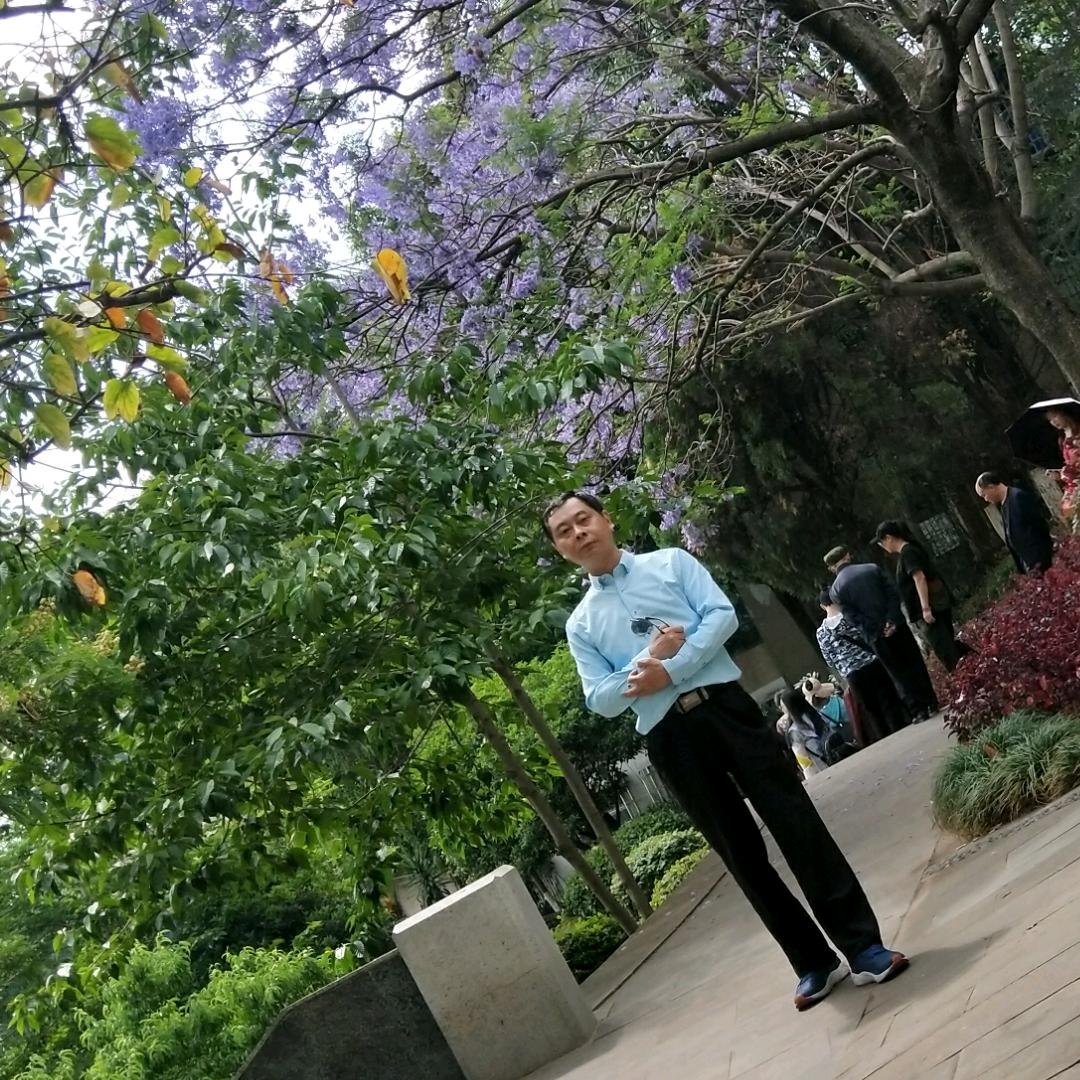 爱吃油浸鱼的鬼游君头像