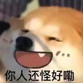 一只小乐子