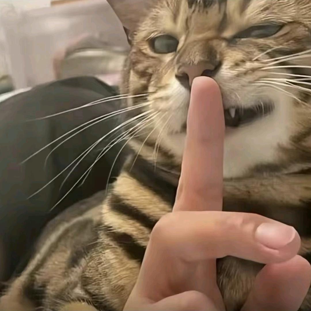 雾情敌