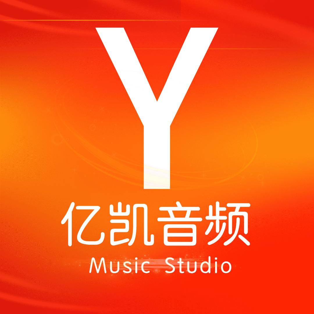 亿凯音频