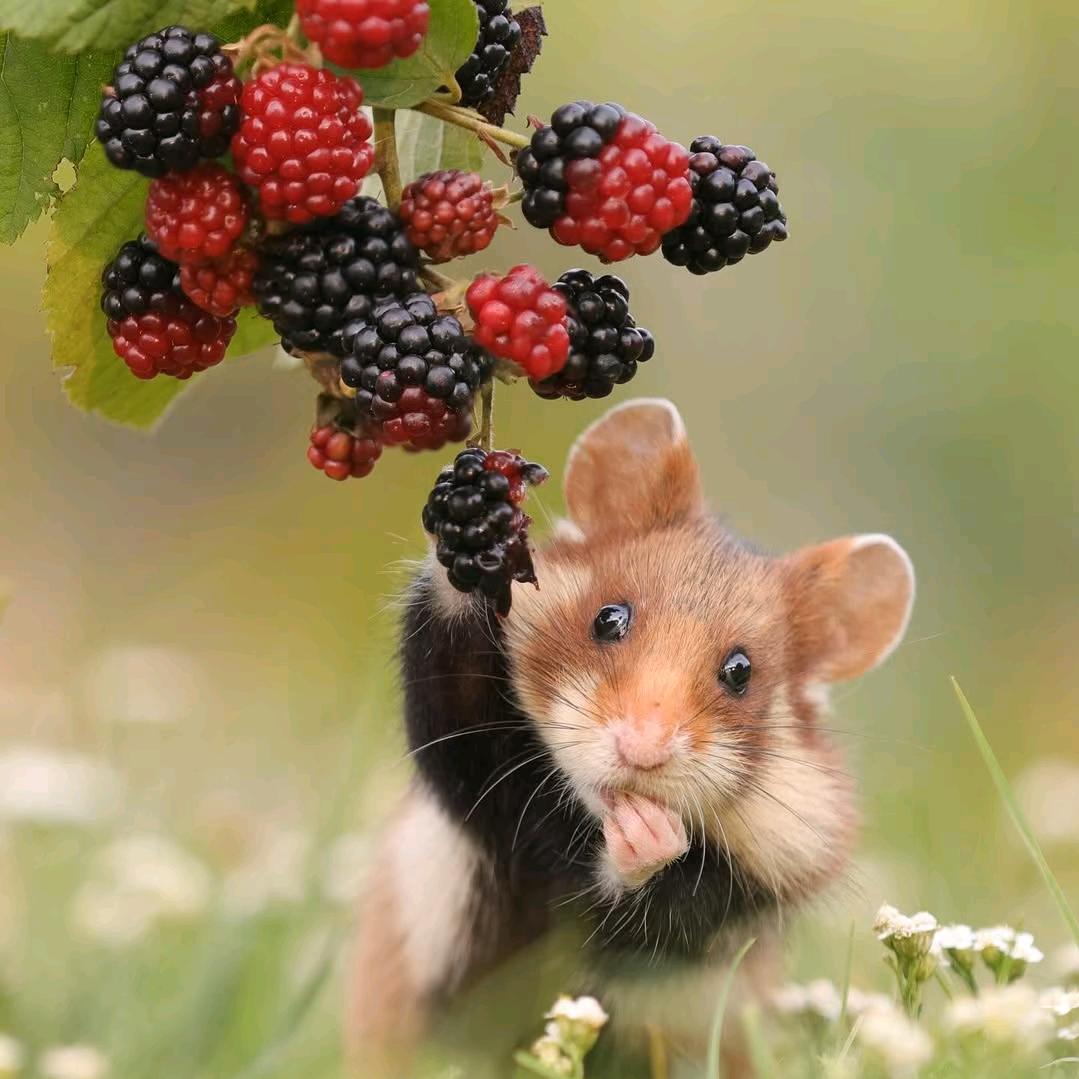 娜有一片海（na10）