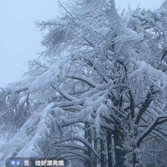 鸿运