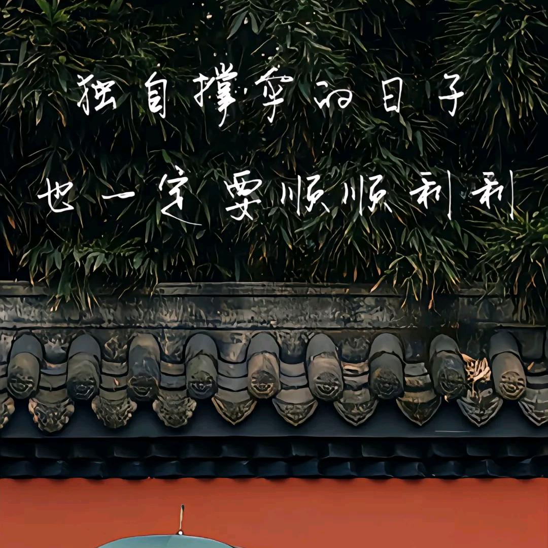 星光不负赶路人