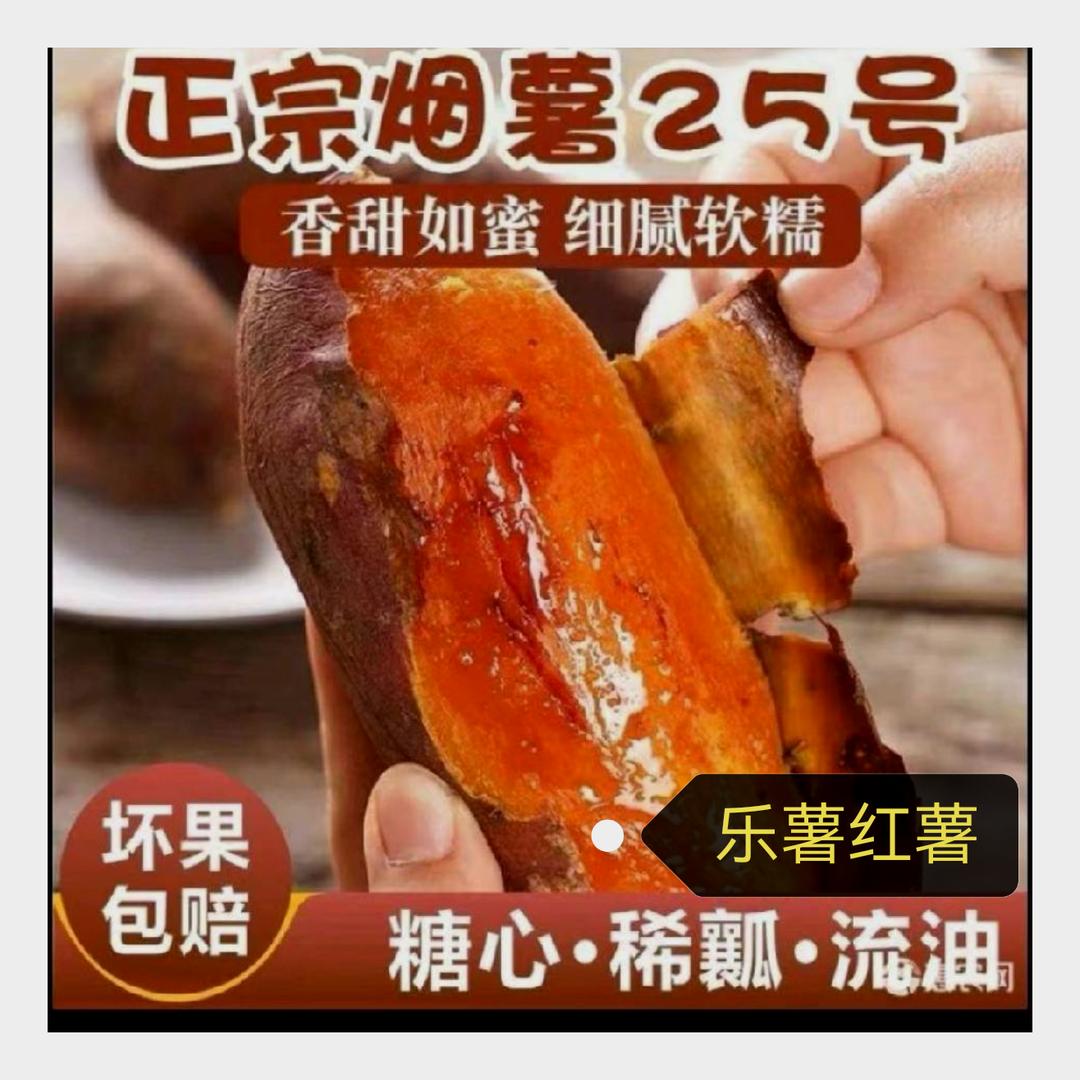 乐薯红薯