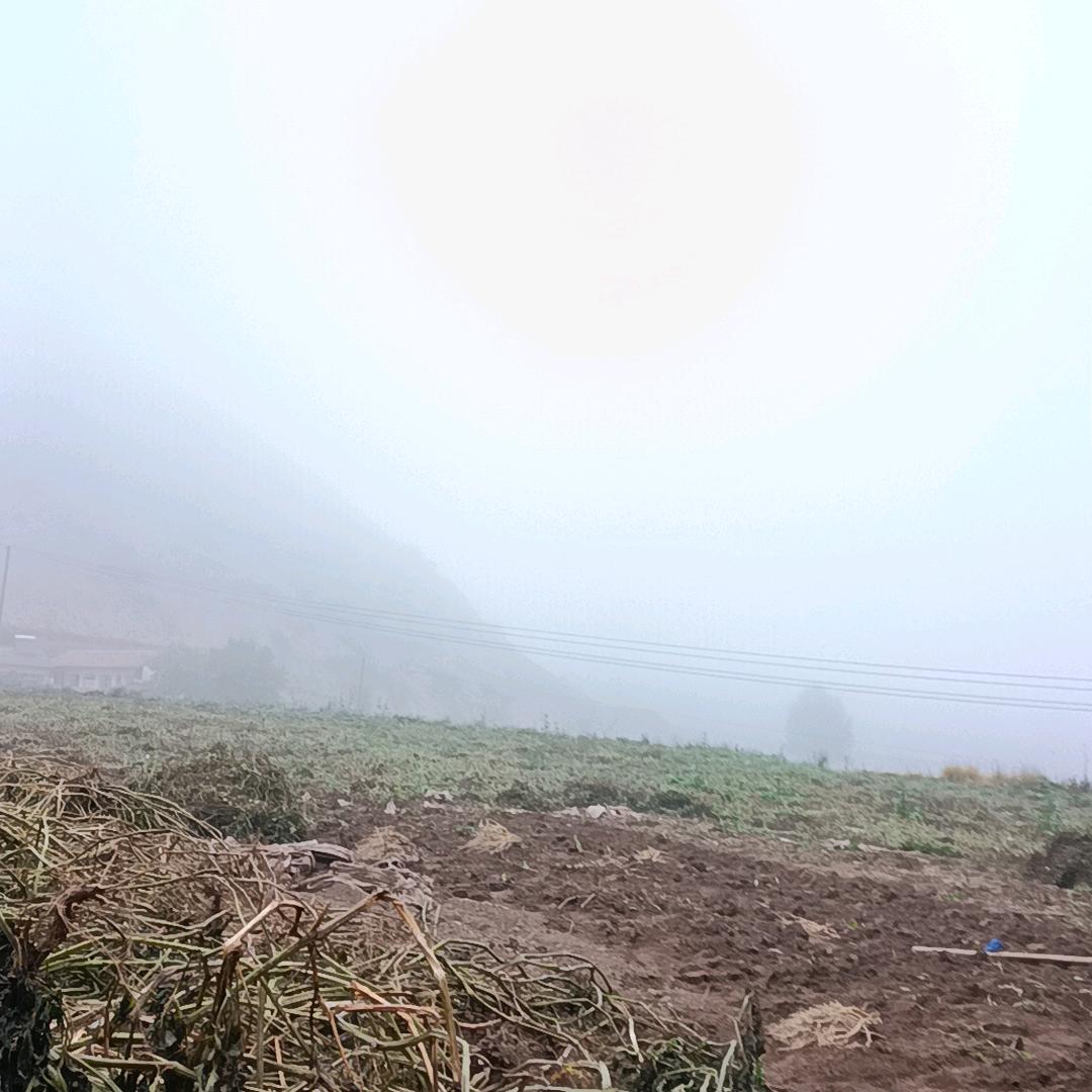 青山绿水！！！