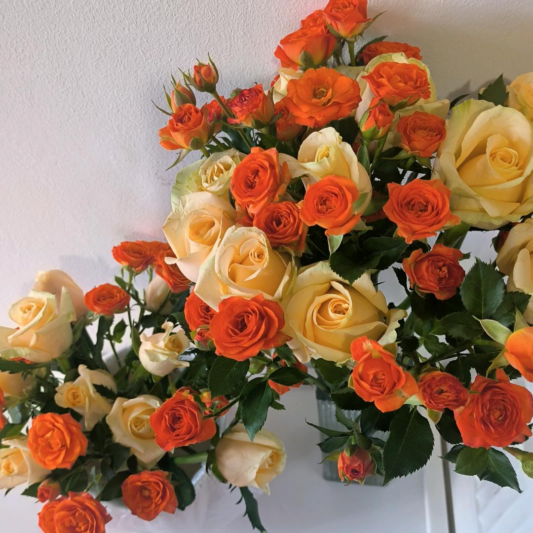 💞᭄᪲ᩚ꯭深情不及久伴💕