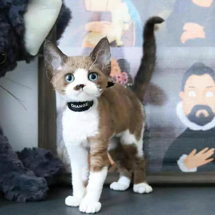 粘人精德文卷毛猫
