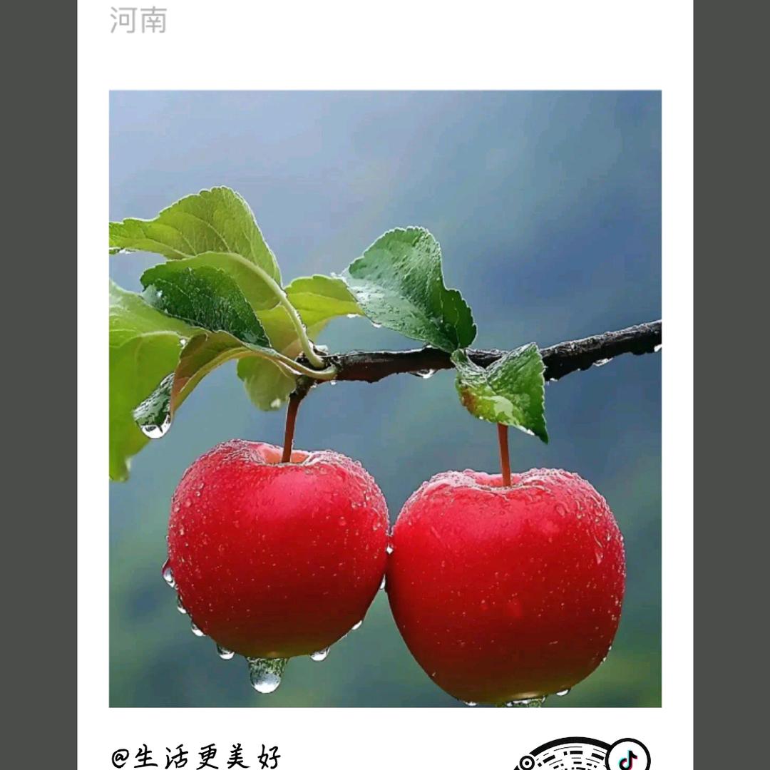 🥀এ᭄余ꦿ生💔随心ོ࿐ᩚ