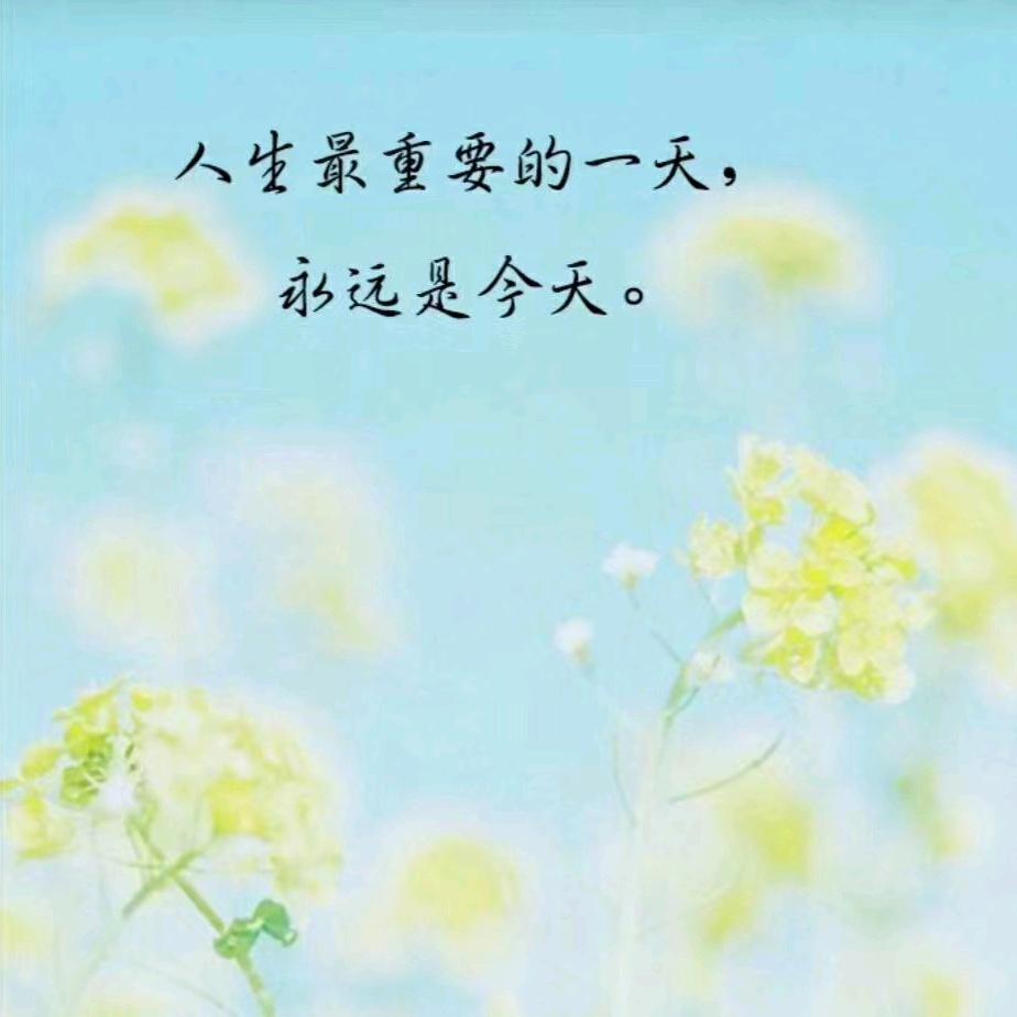 越努力🍀越幸运