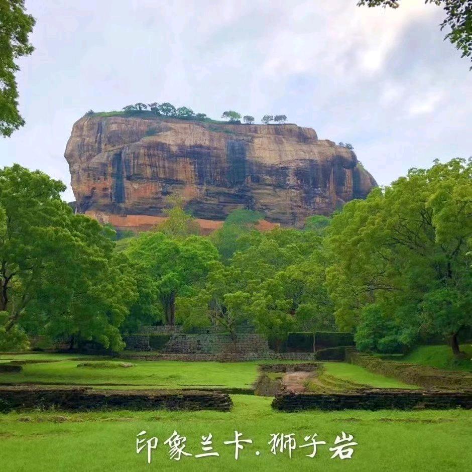 求同