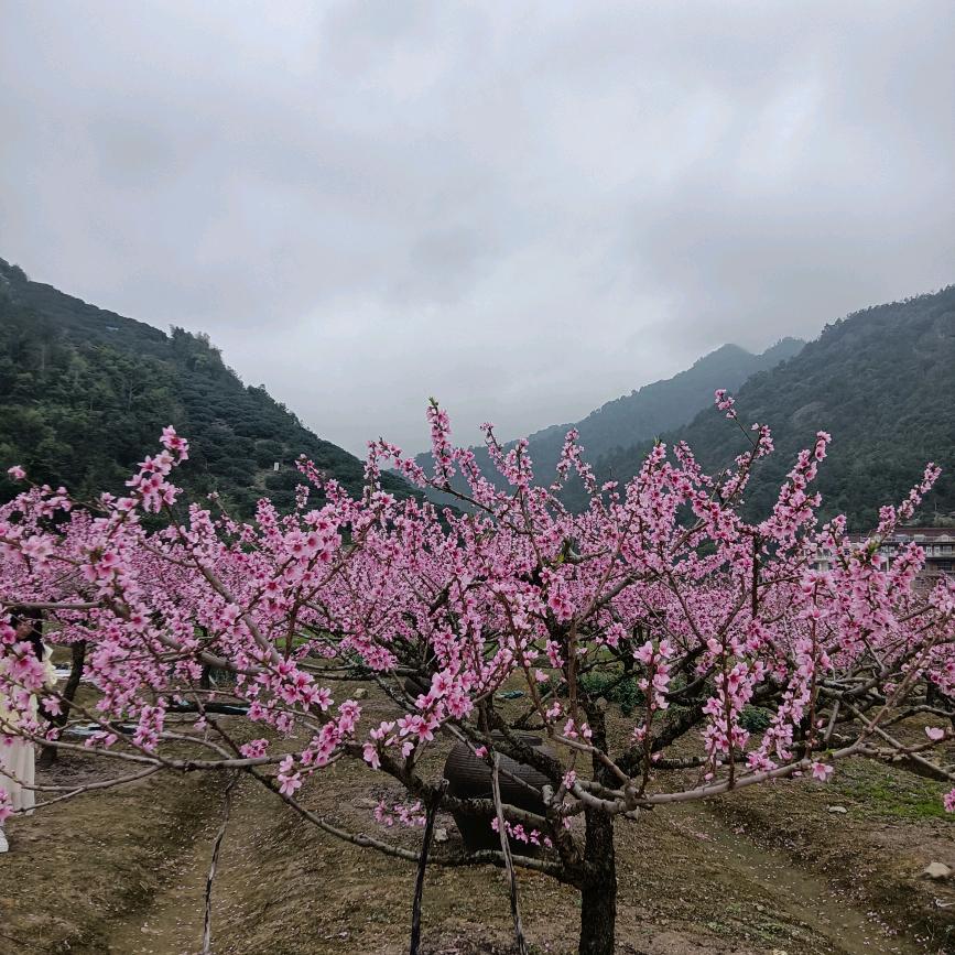 记得曾经有个我