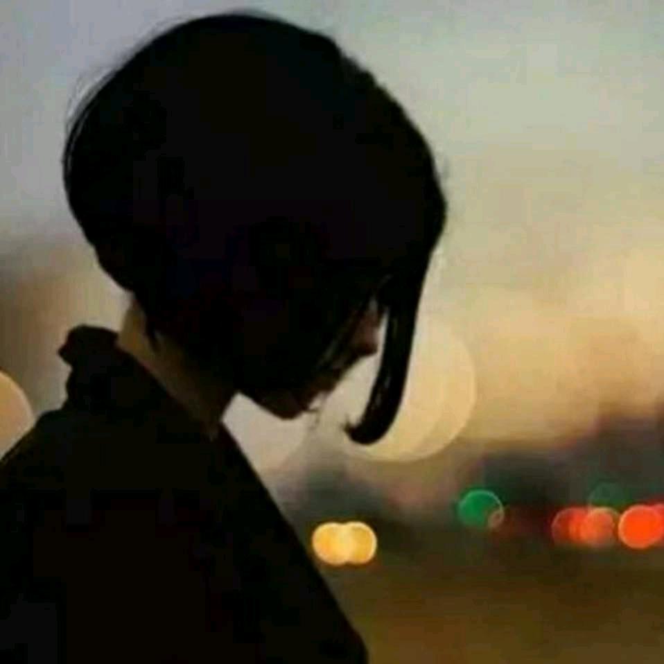 雨中百合，