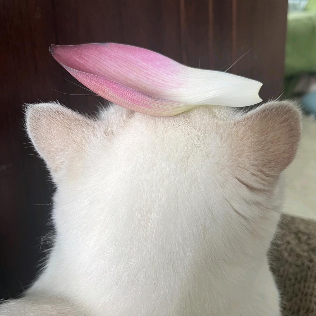 小于转晴