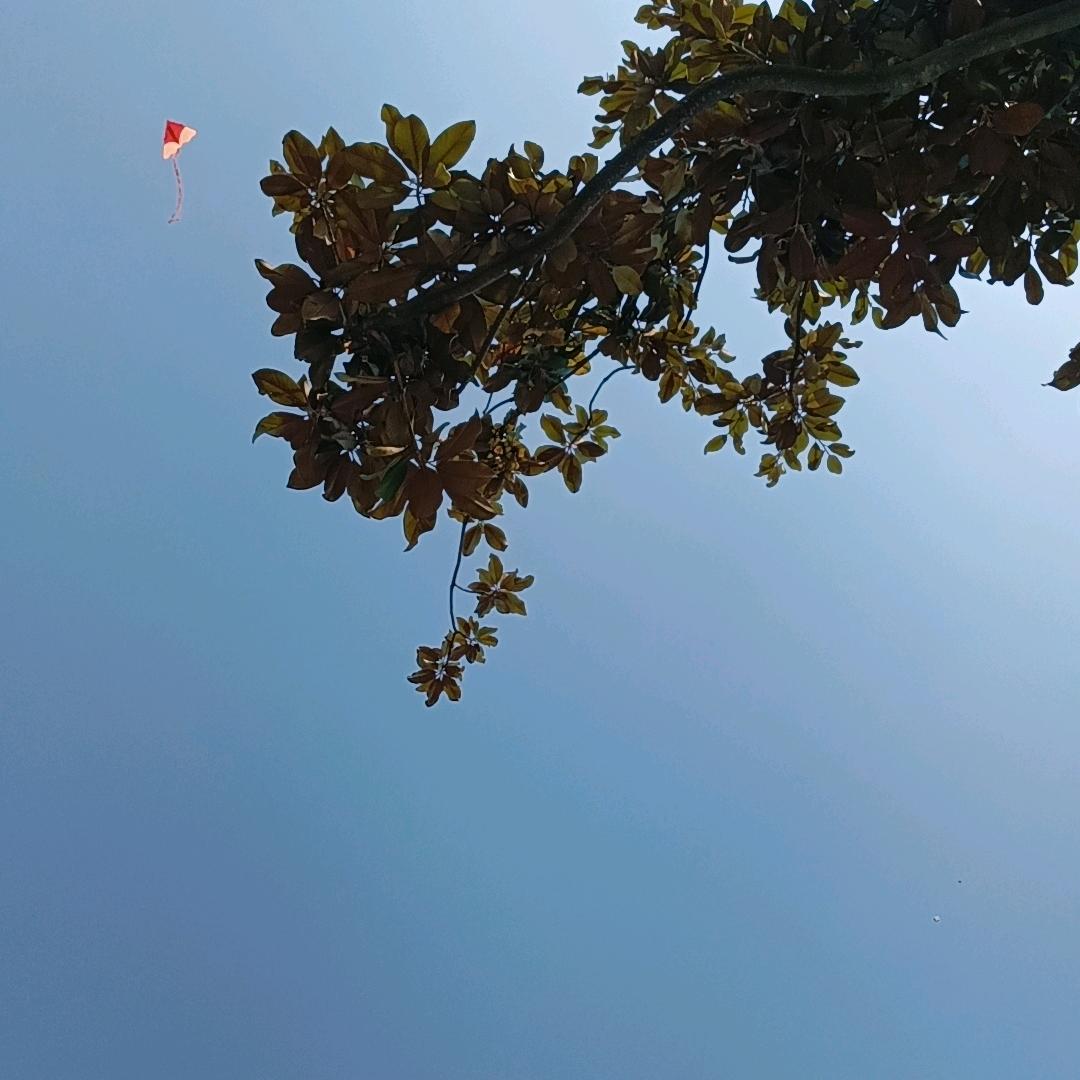 泽旭商贸(淮河新城3期店)淮南市琳玲百货店