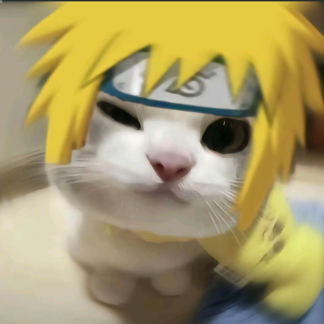 梢