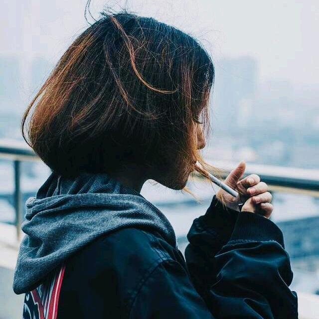 辰辰小柠檬