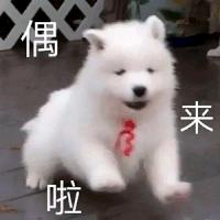 雷欧快乐