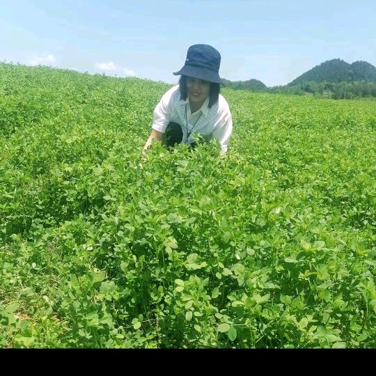 抓不住你的手