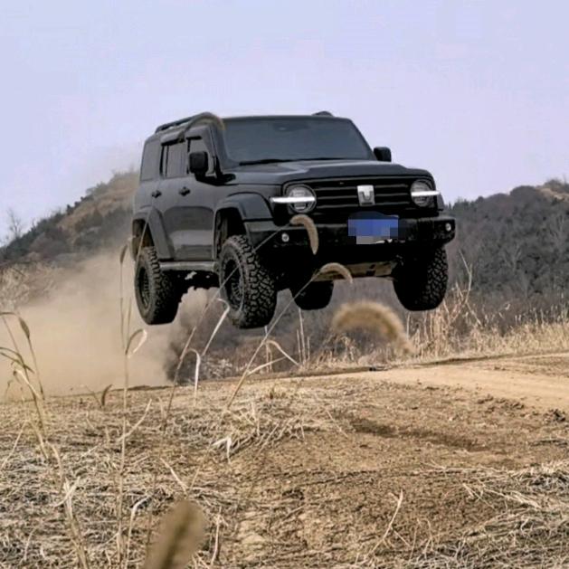 越野巴特尔  《砥砺前行》