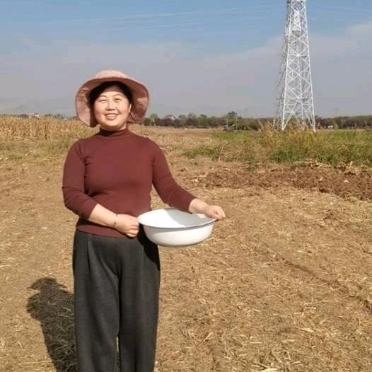 小韩不闲