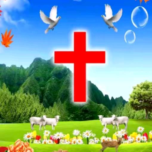 父的宝贝女儿👧🏻