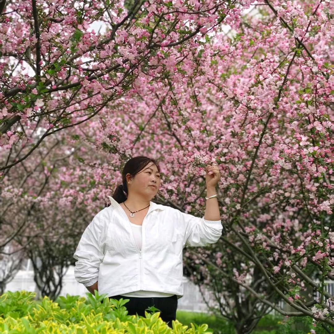 爱上小猪酱油瓶011