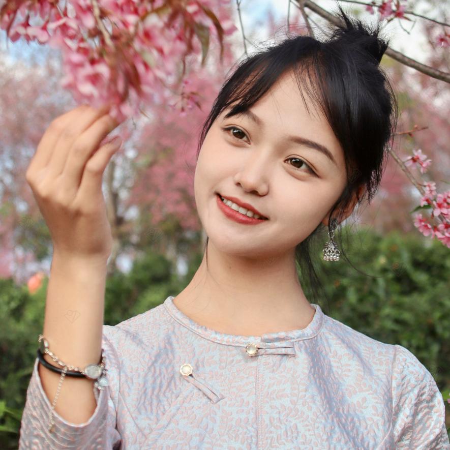 景迈山 芳芳