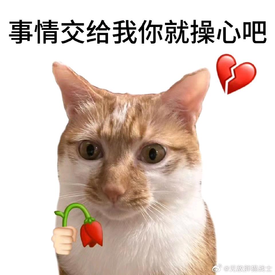 与卿绝