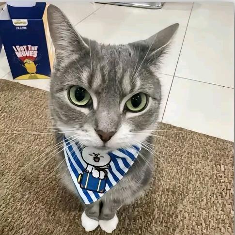 洛阳化妆师 呆米Lyn