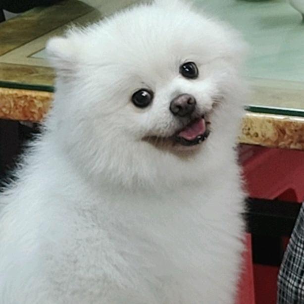 啊乐阿