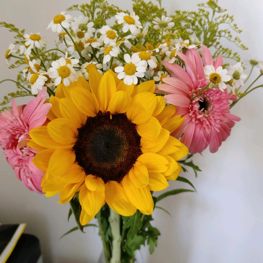 致命的温柔（拒绝连赞）