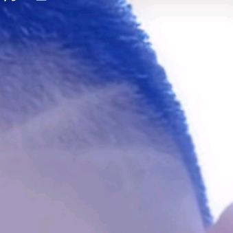 浪子人力资源