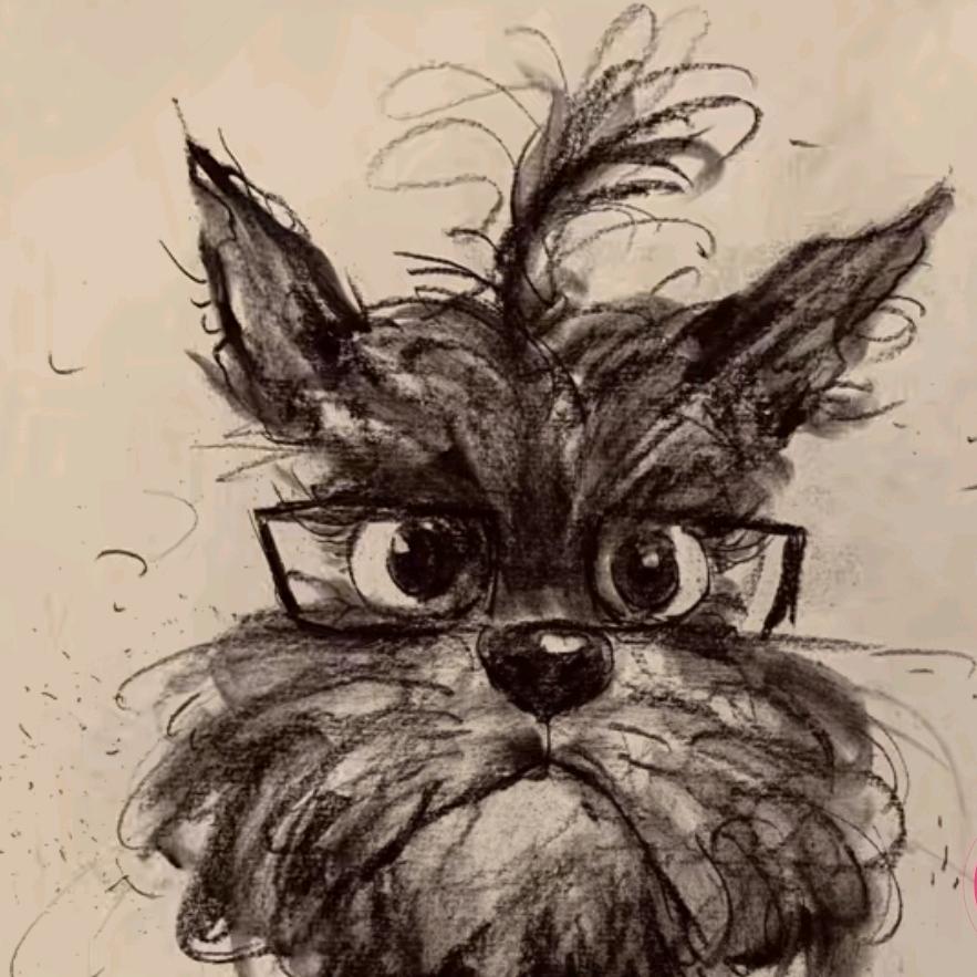 漫游的小韩（首播）