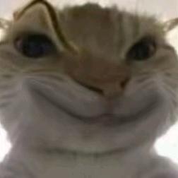 大脚