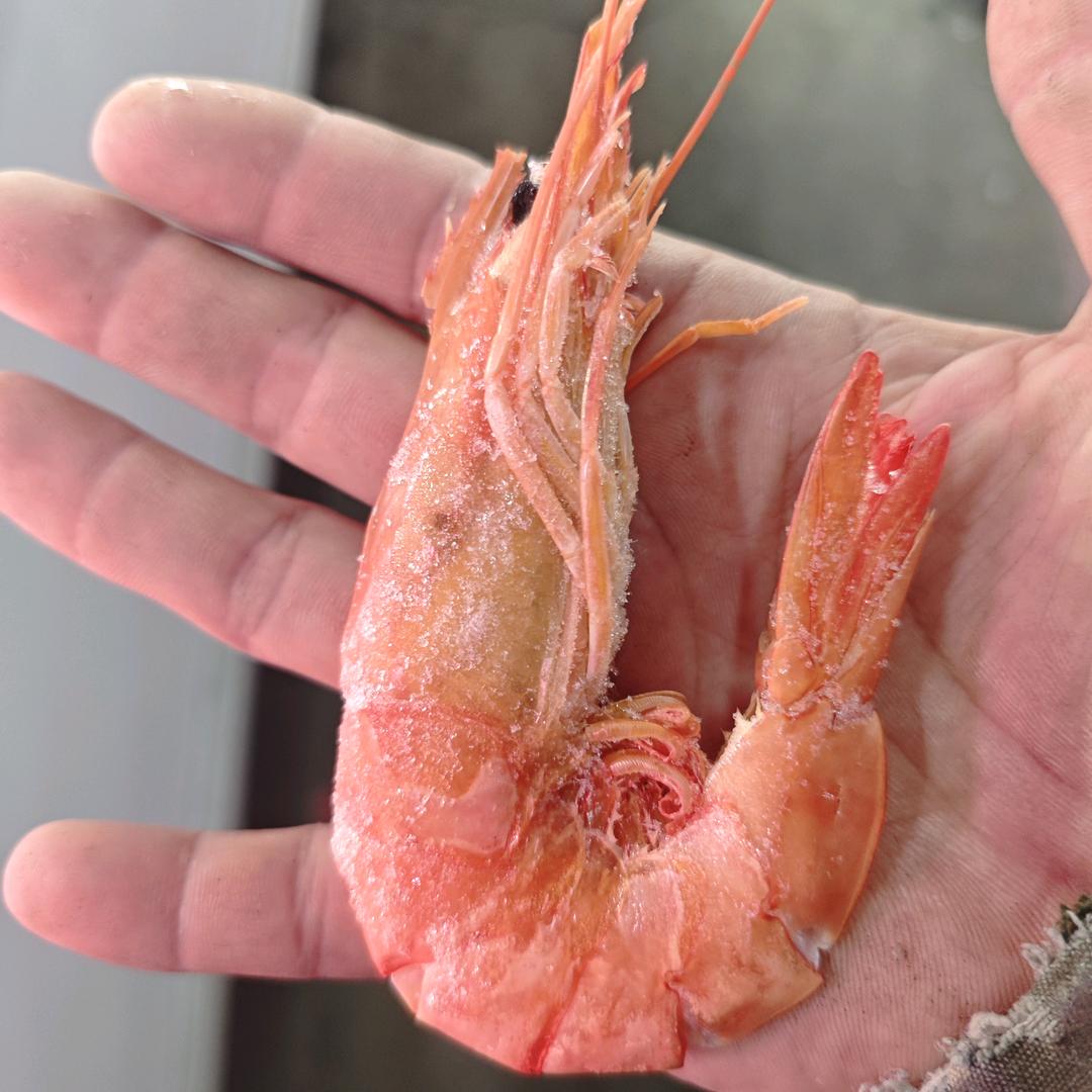虎胖海鲜