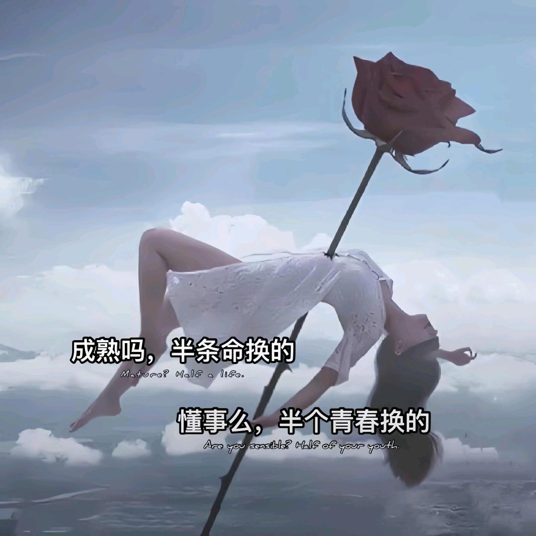 🚬ಇ（六）烟࿆ྃ似寂寞໊酒似愁࿐