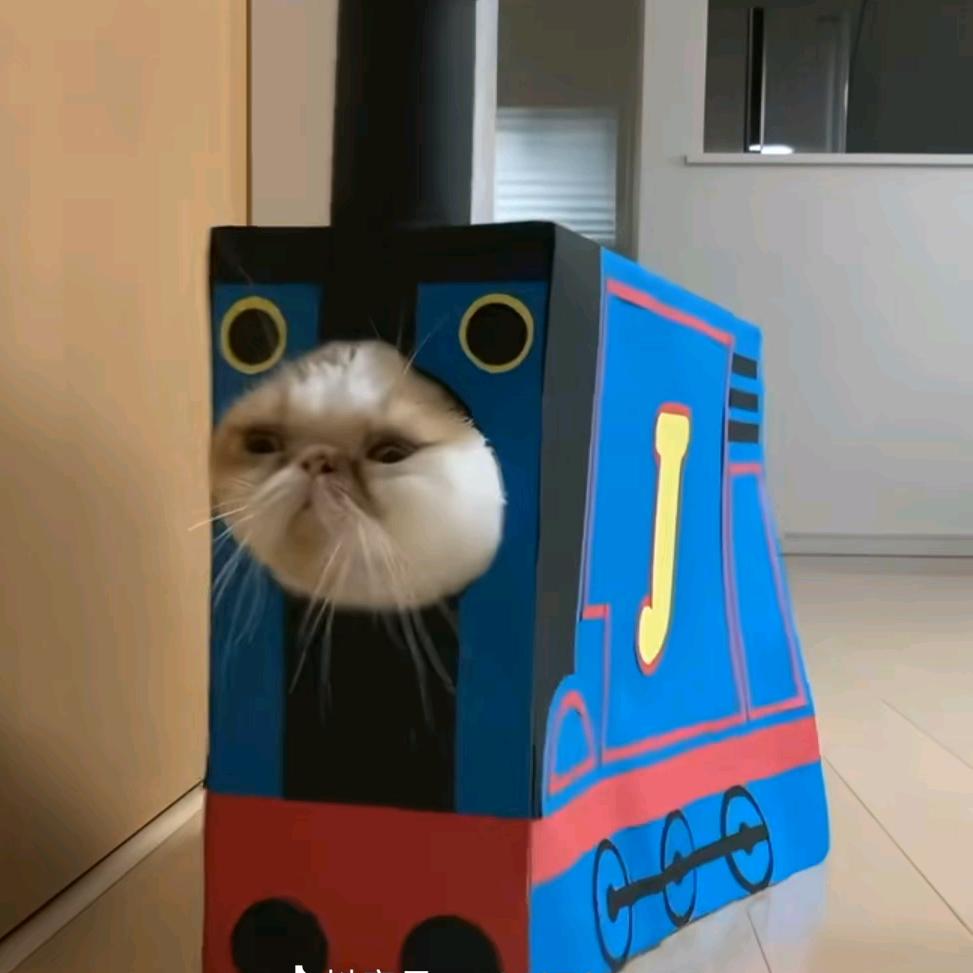 吃不下练不动睡不着（认真撸铁版）