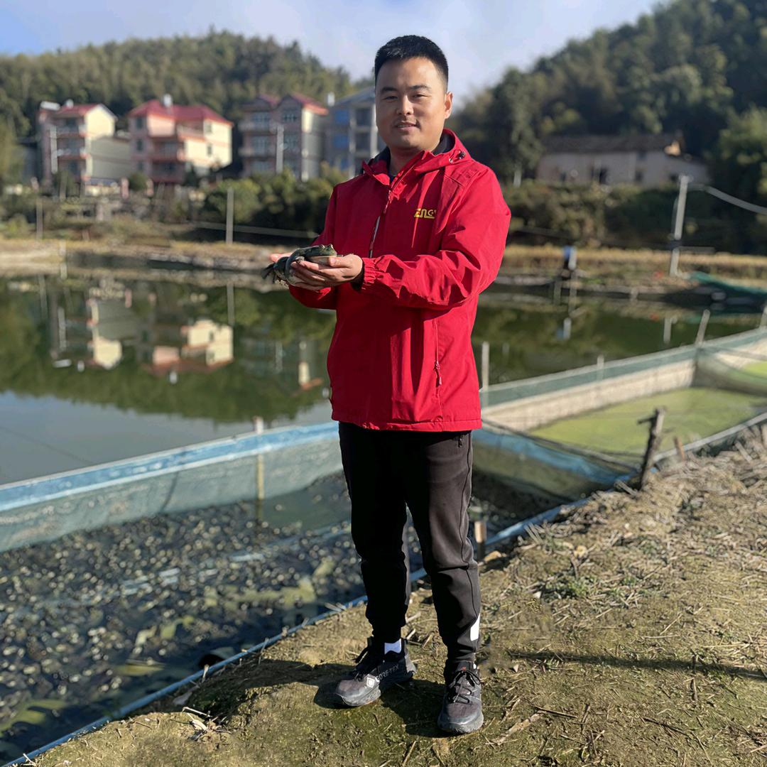 大鹏服务三农