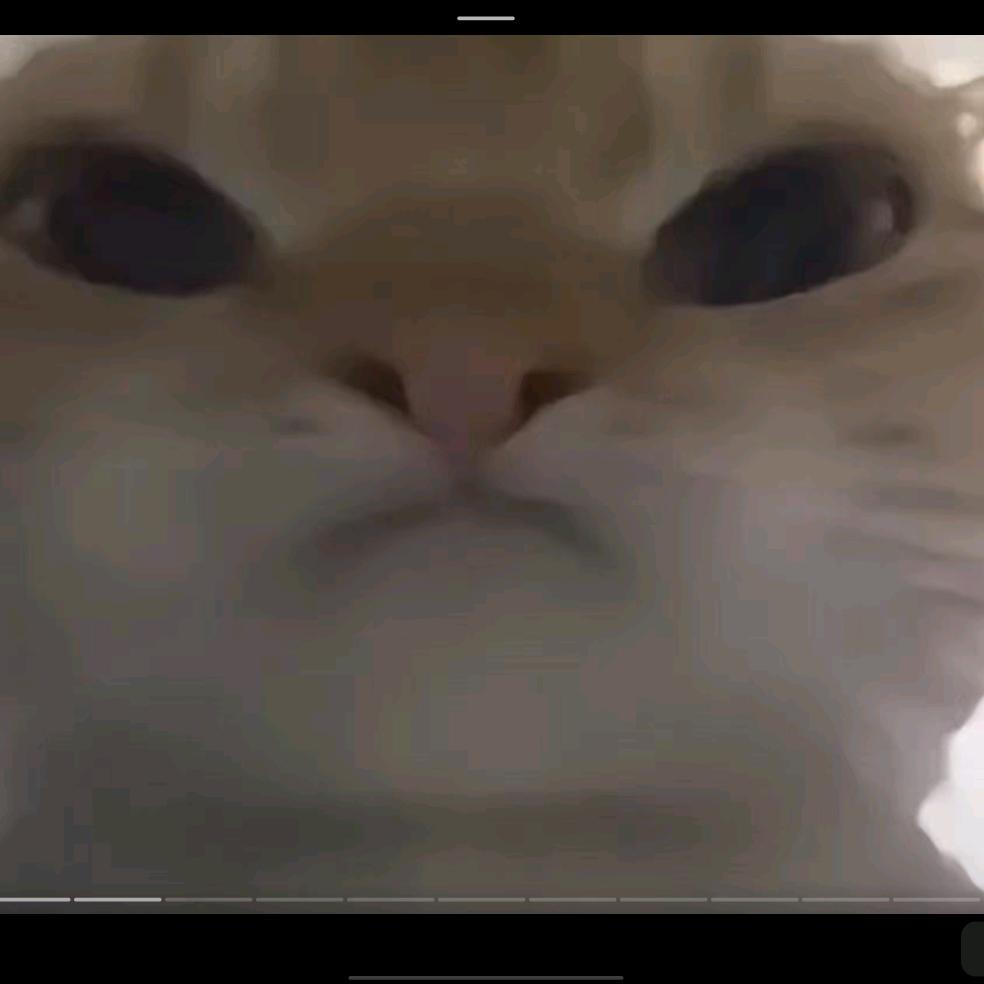 FW